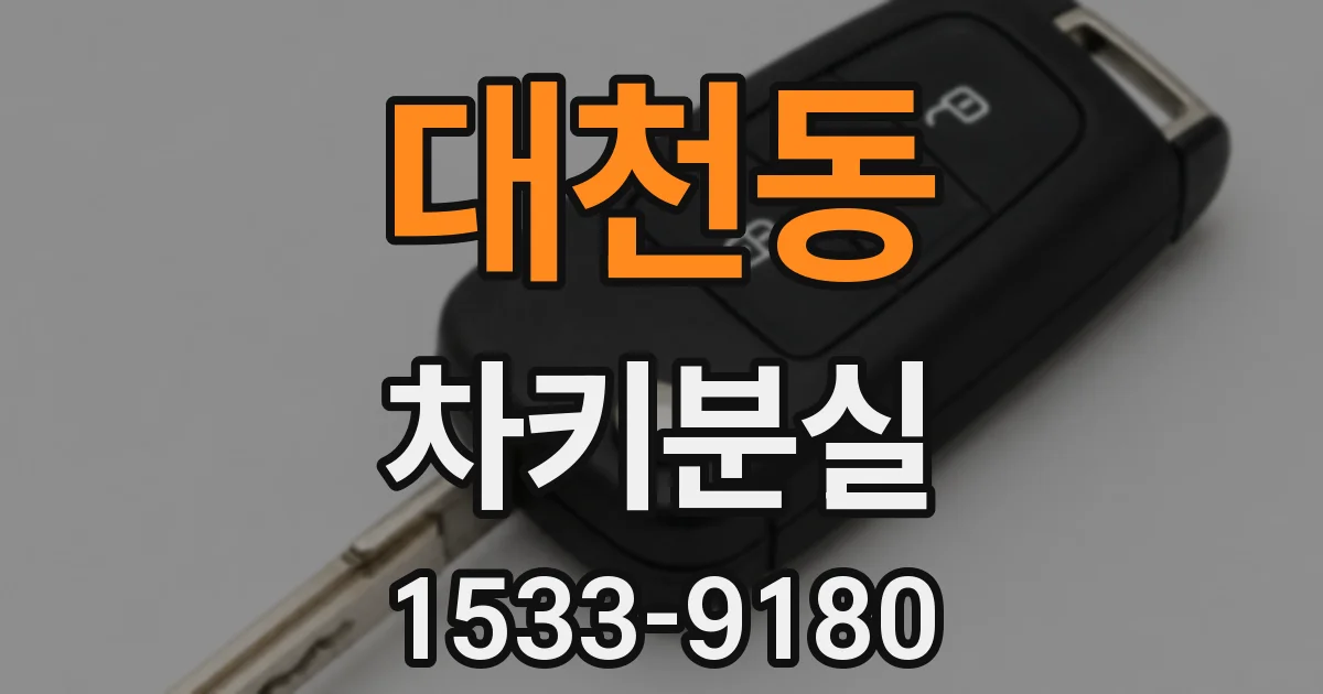 대천동 차키분실