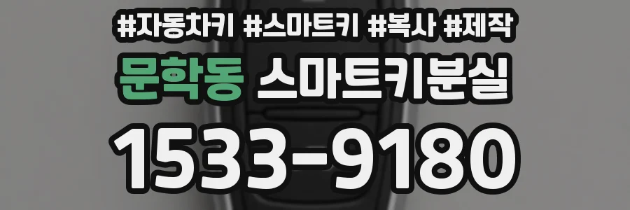 문학동 스마트키분실