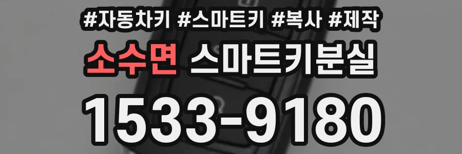 소수면 스마트키분실