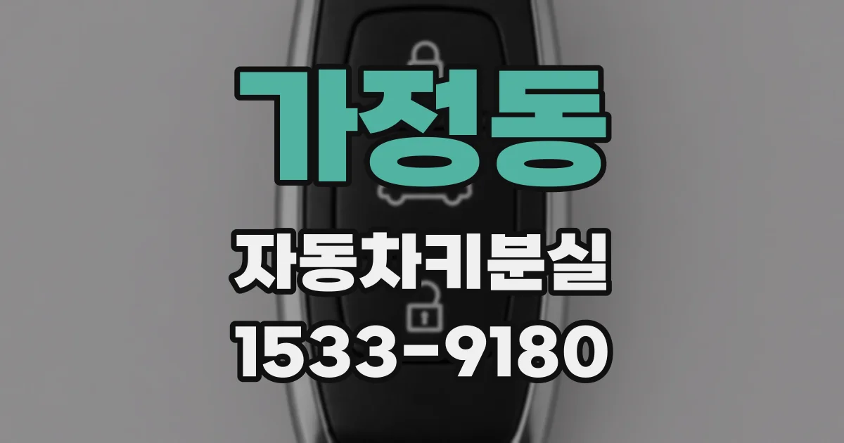 가정동 자동차키분실