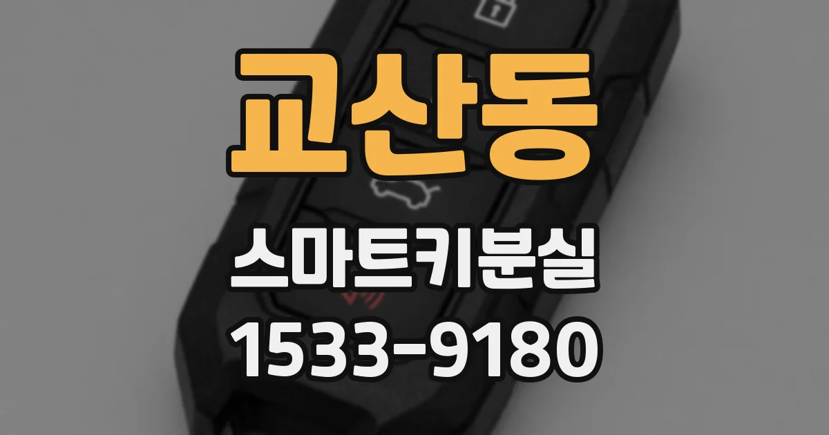 교산동 스마트키분실
