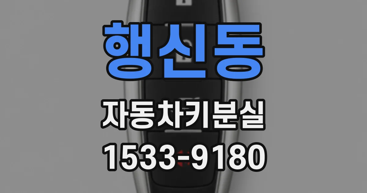 행신동 자동차키분실