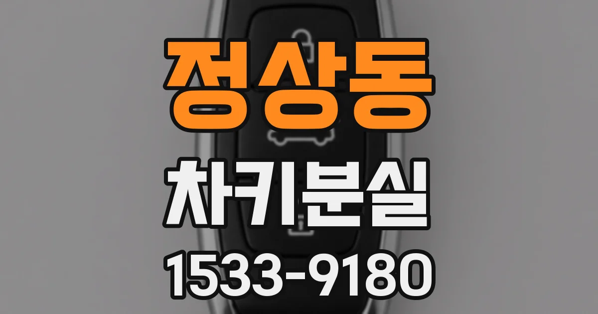 정상동 차키분실