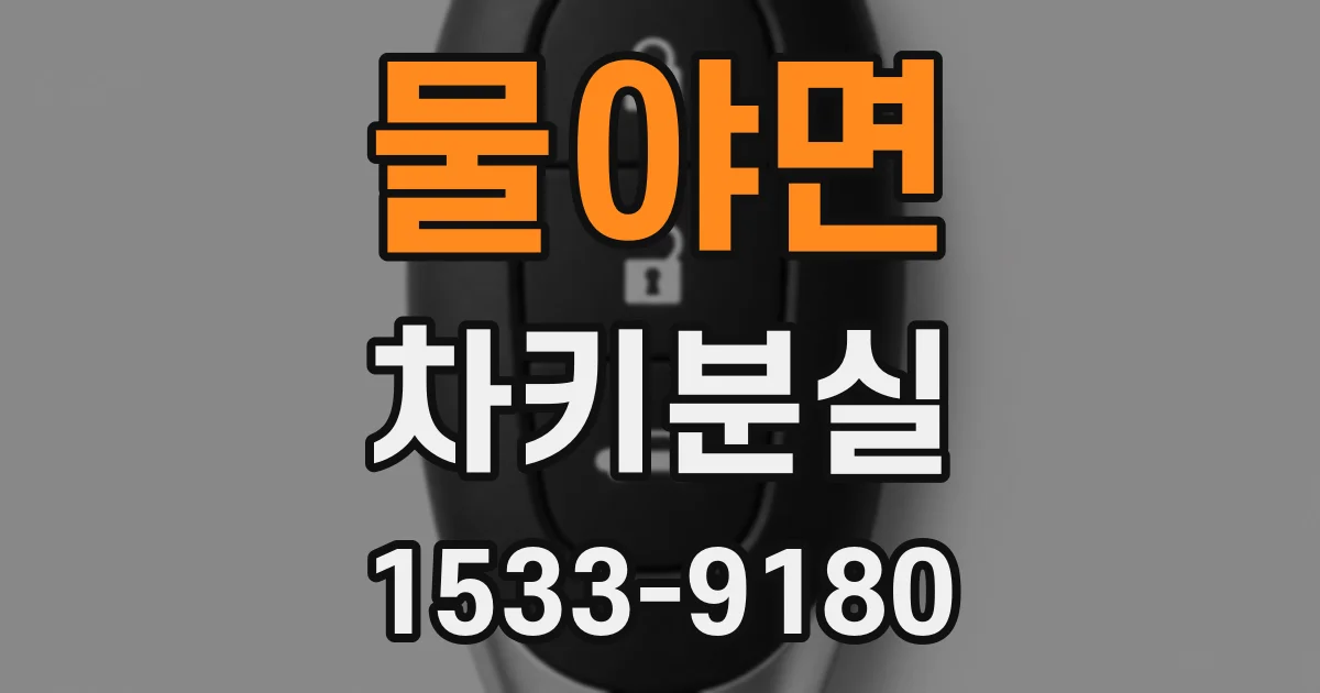 물야면 차키분실