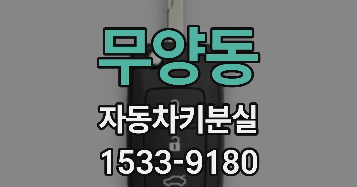 무양동 자동차키분실