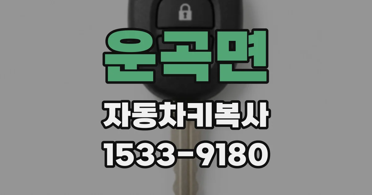 운곡면 자동차키복사