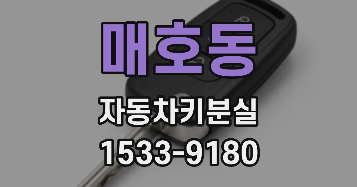 매호동 자동차키분실