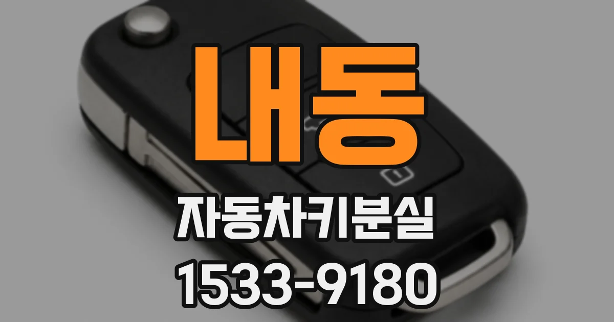 내동 자동차키분실