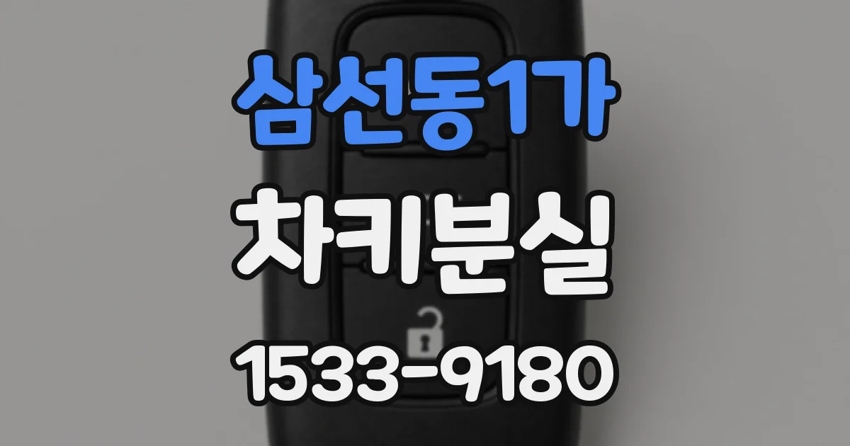 삼선동1가 차키분실