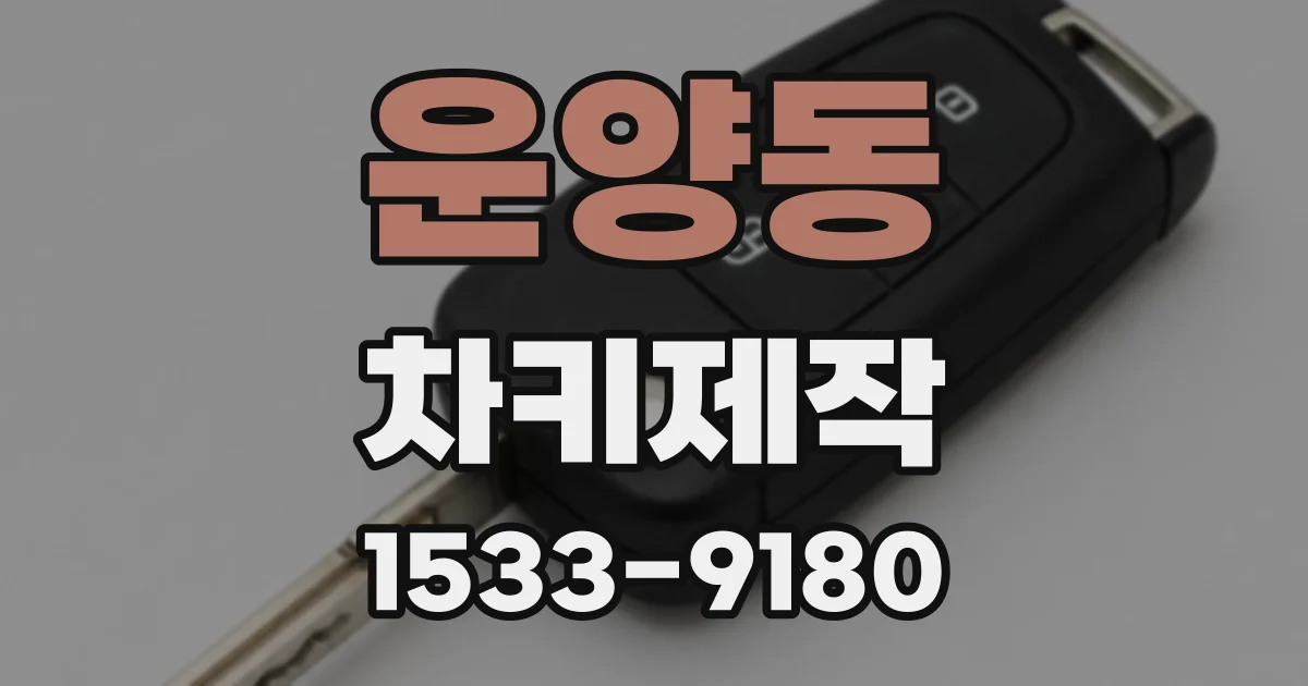 운양동 차키제작