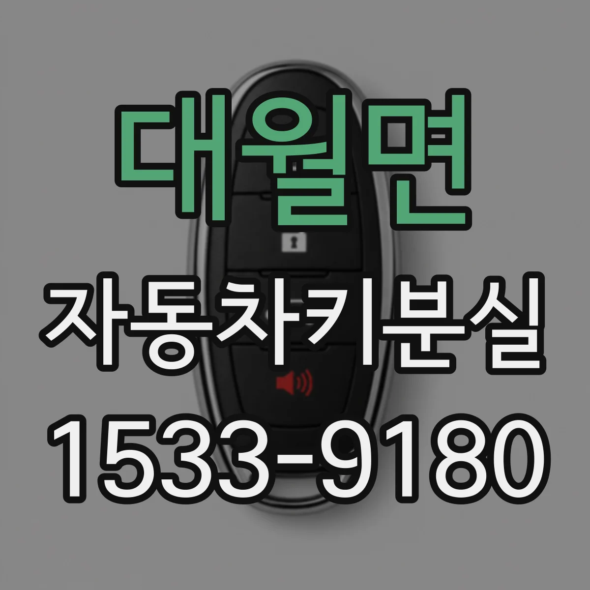 대월면 자동차키분실