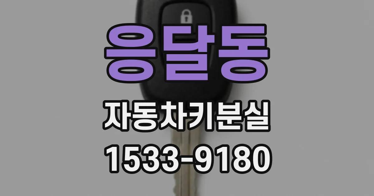 응달동 자동차키분실
