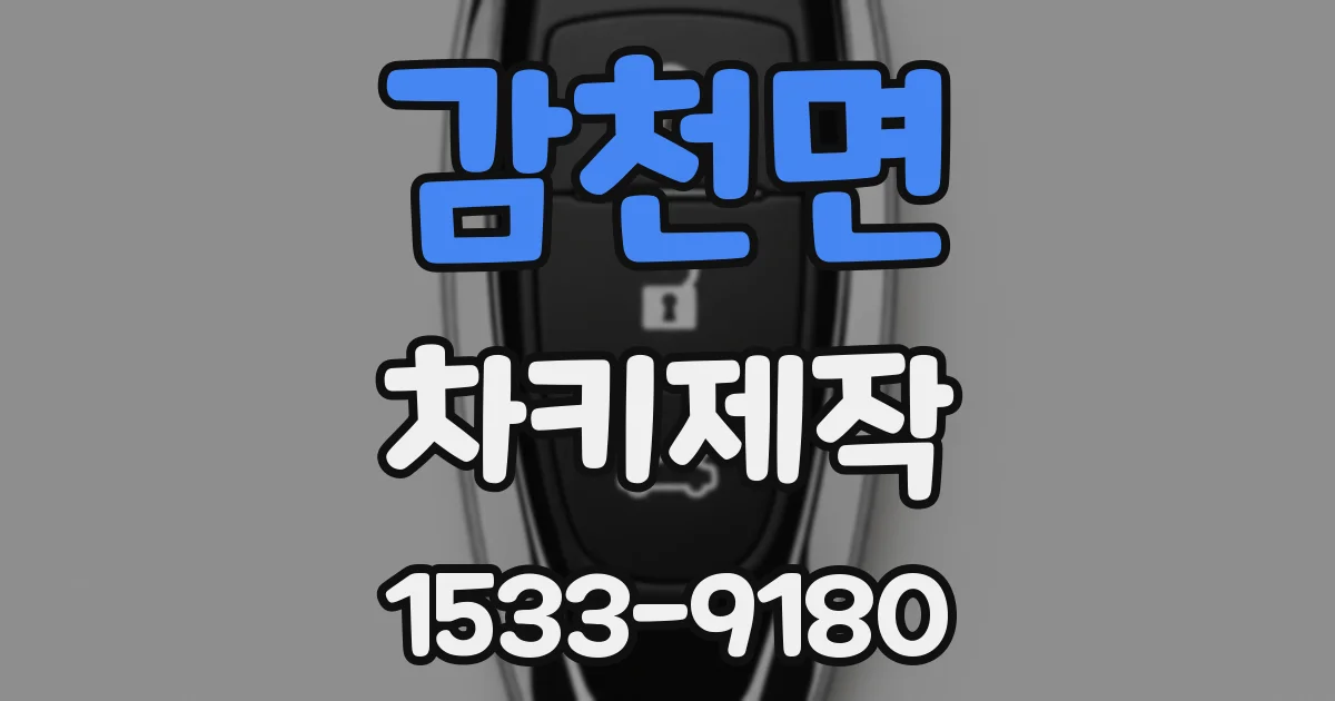 감천면 차키제작