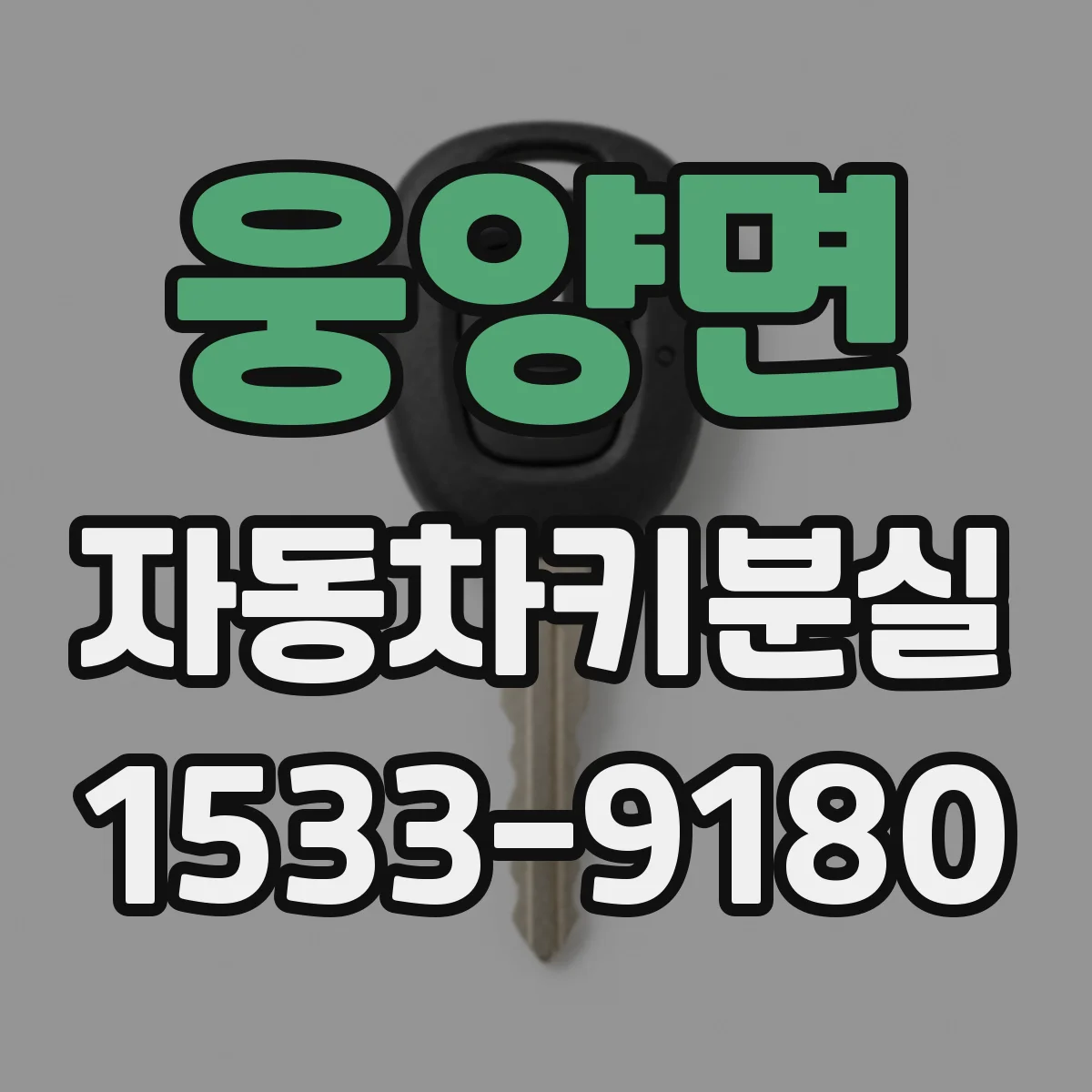 웅양면 자동차키분실