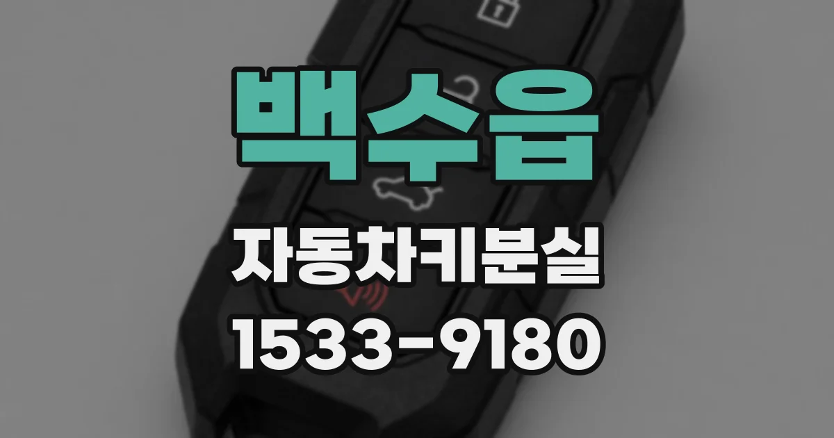 백수읍 자동차키분실