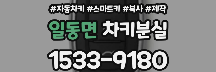 일동면 차키분실