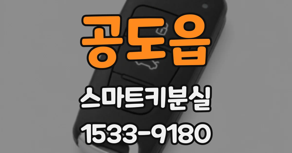 공도읍 스마트키분실