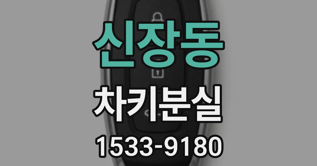 신장동 차키분실