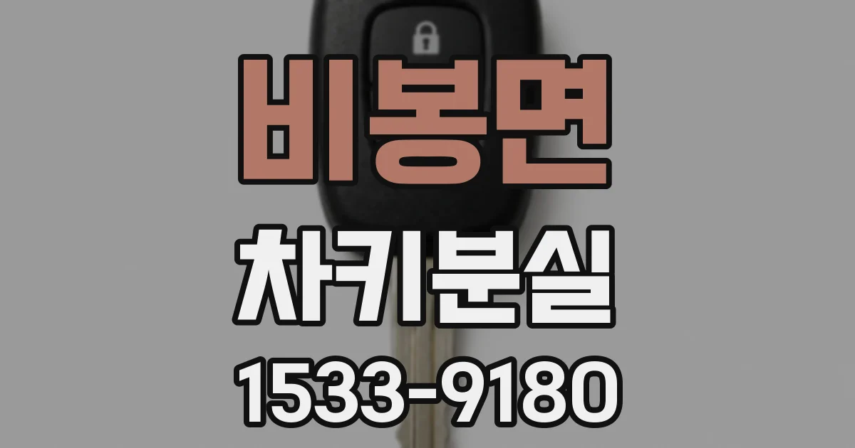 비봉면 차키분실