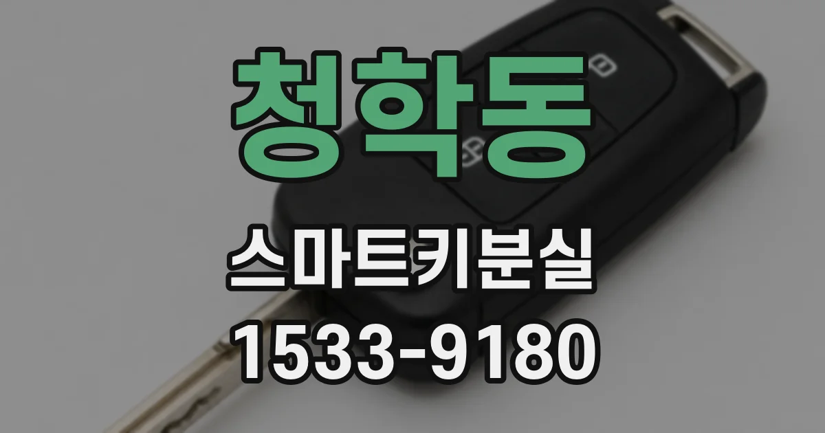 청학동 스마트키분실