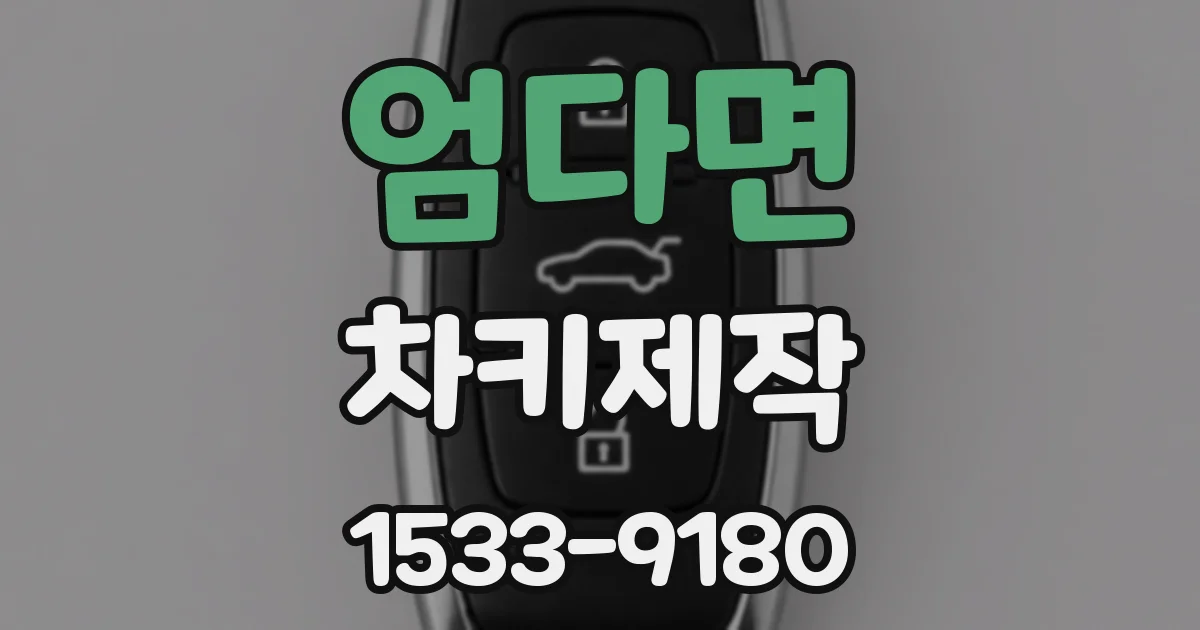 엄다면 차키제작