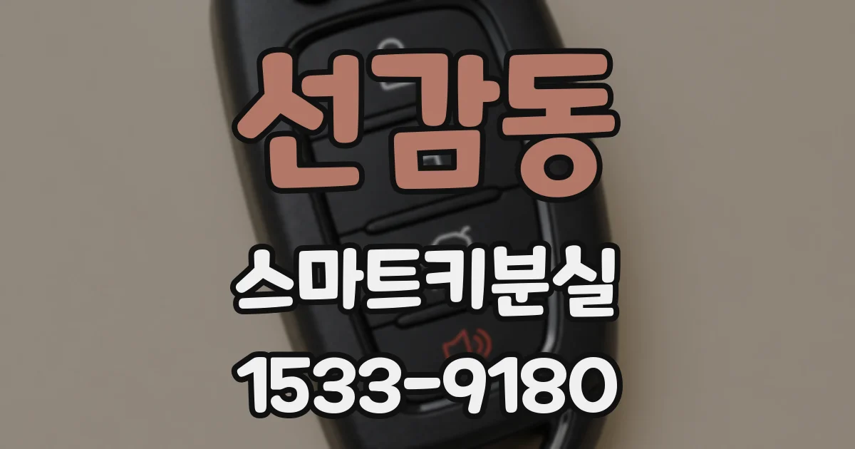 선감동 스마트키분실
