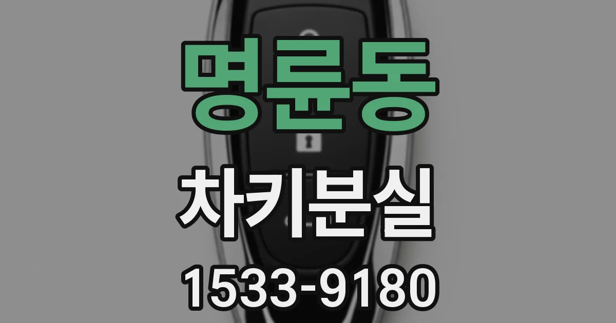 명륜동 차키분실