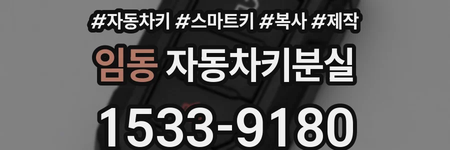 임동 자동차키분실