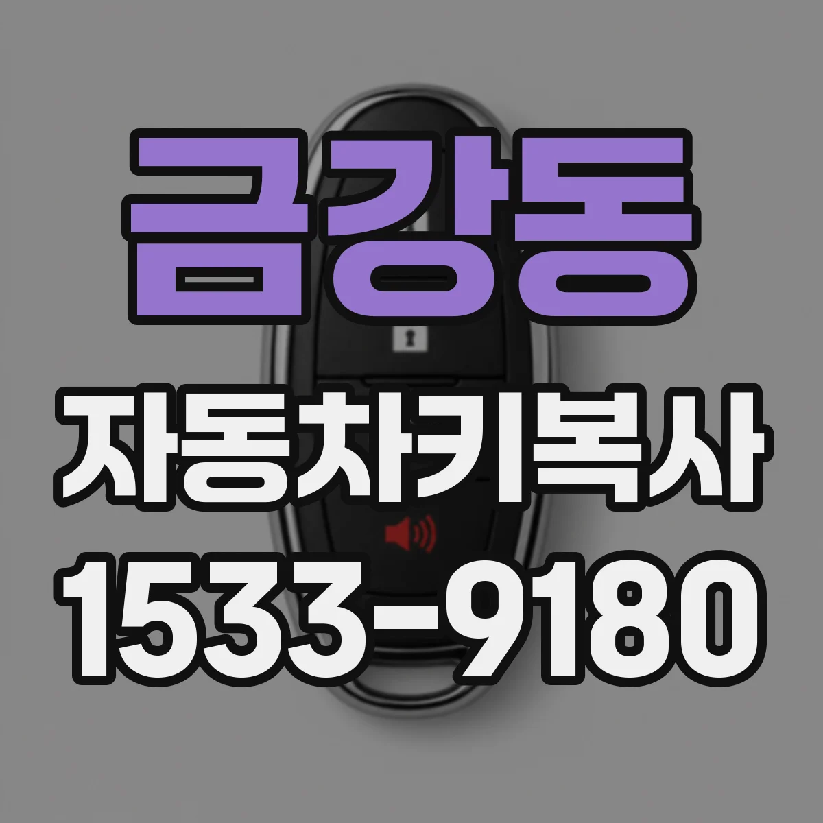 금강동 자동차키복사