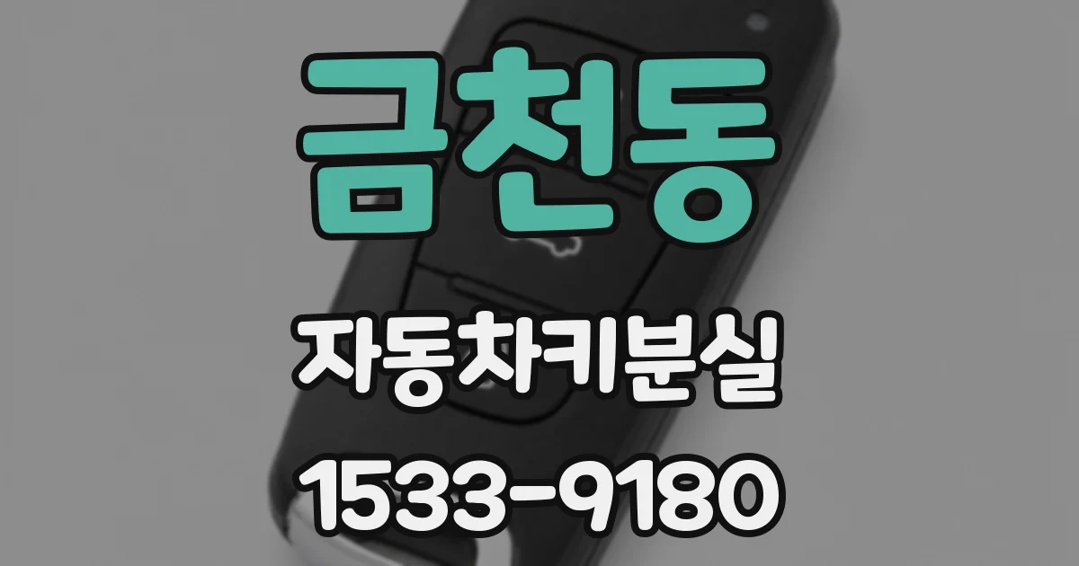 금천동 자동차키분실