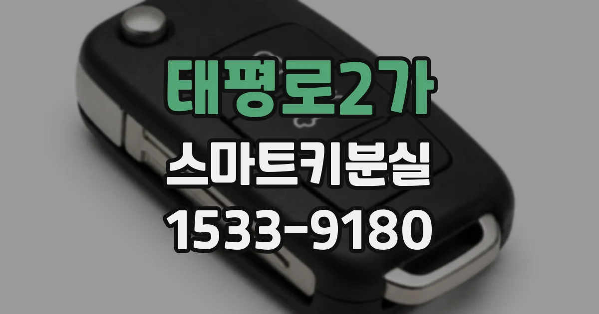 태평로2가 스마트키분실