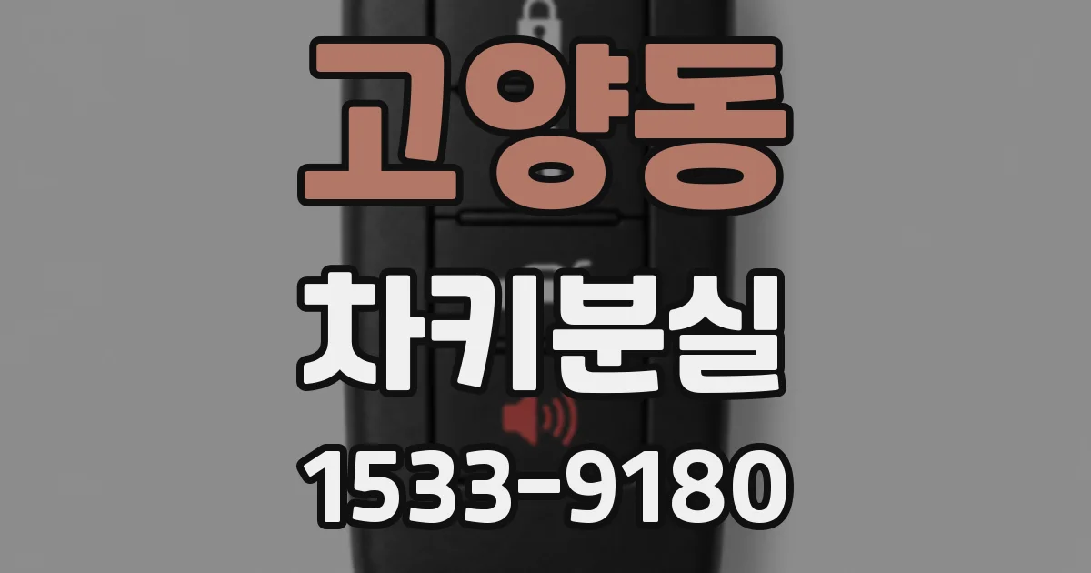 고양동 차키분실