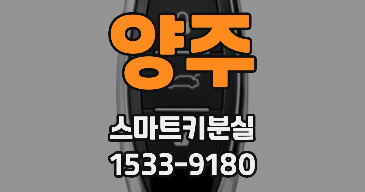 양주 스마트키분실
