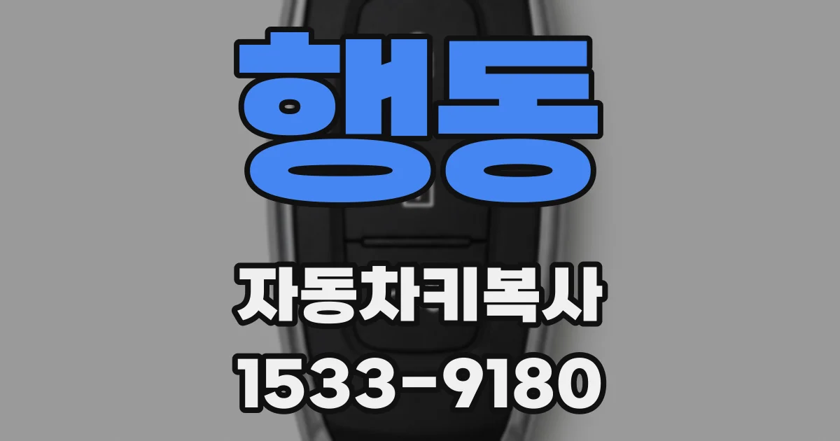 행동 자동차키복사