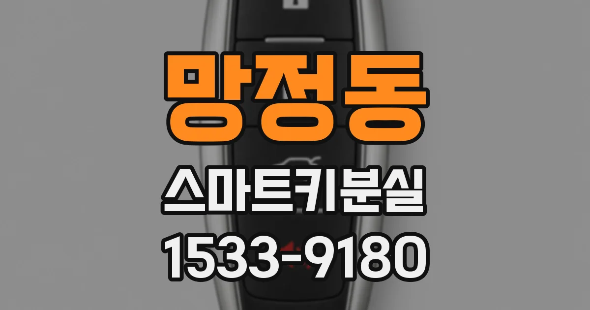 망정동 스마트키분실