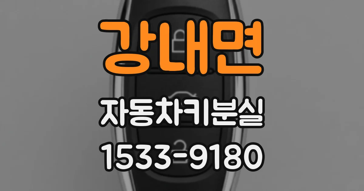 강내면 자동차키분실