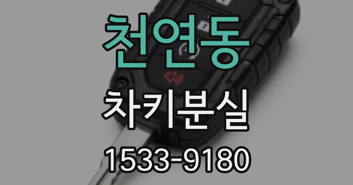 천연동 차키분실