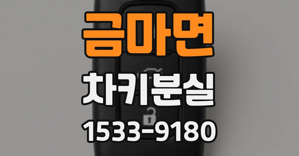 금마면 차키분실