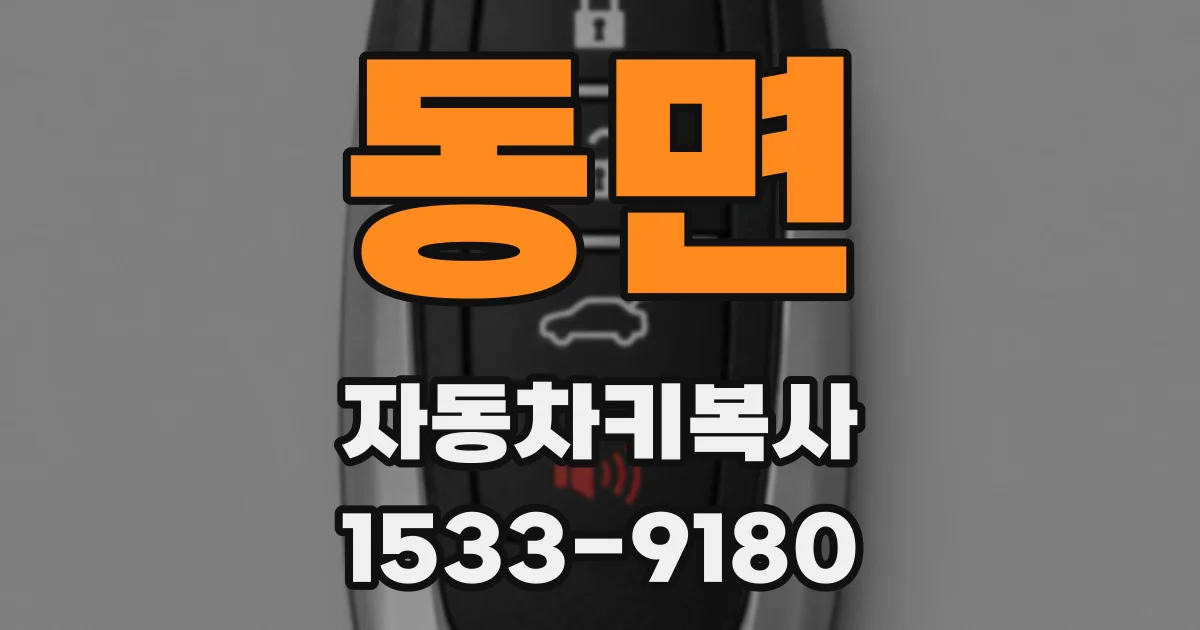 동면 자동차키복사