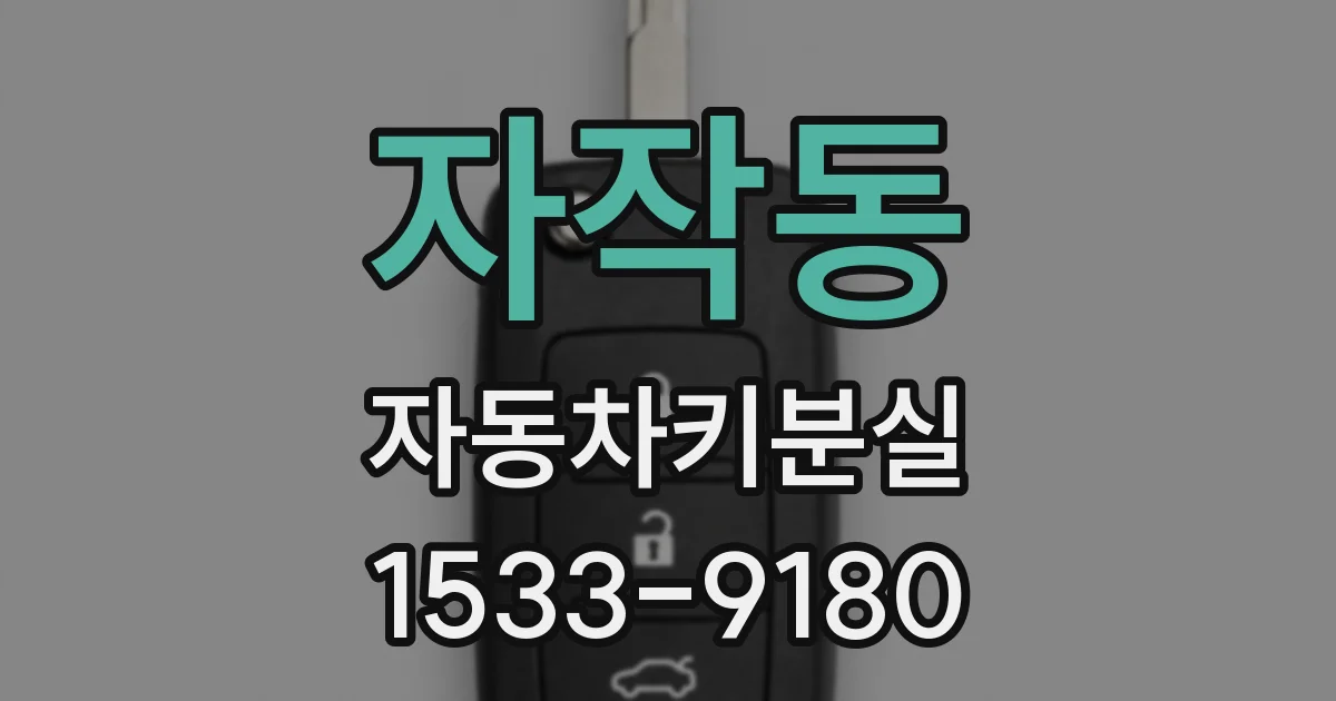 자작동 자동차키분실