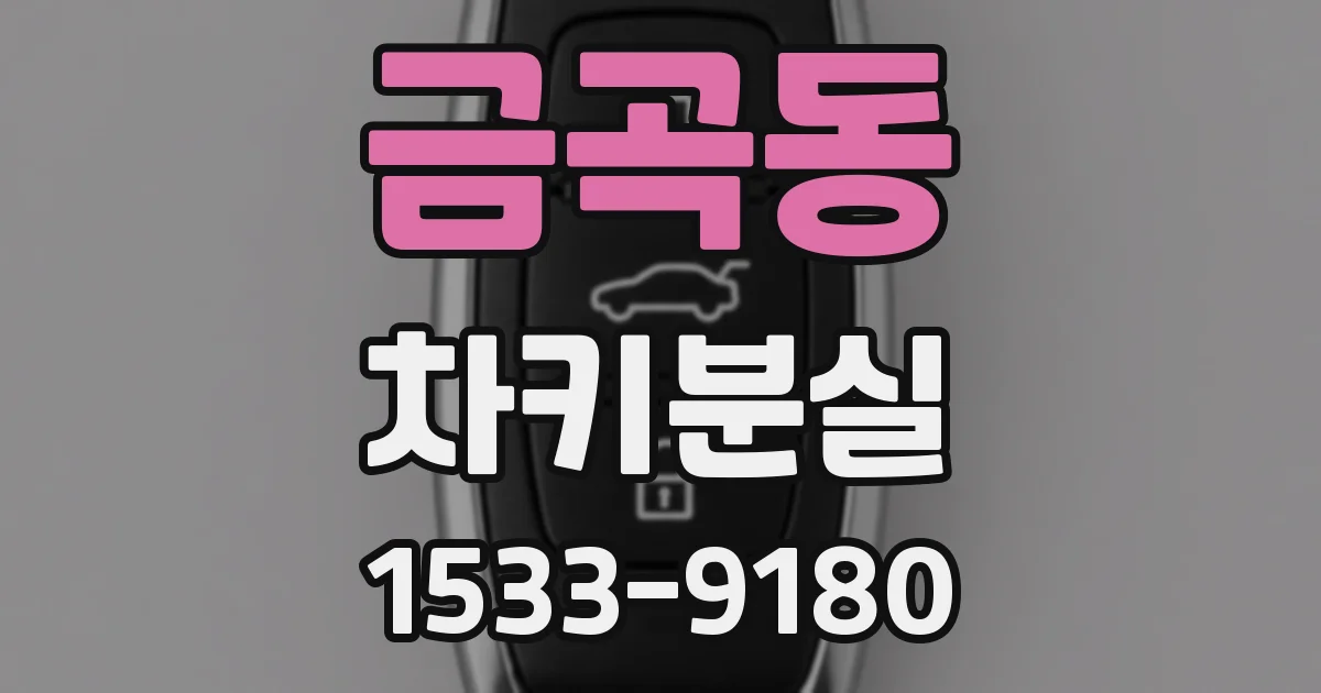 금곡동 차키분실