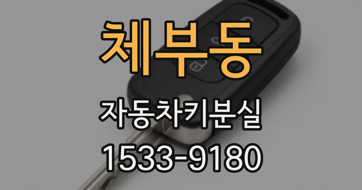 체부동 자동차키분실