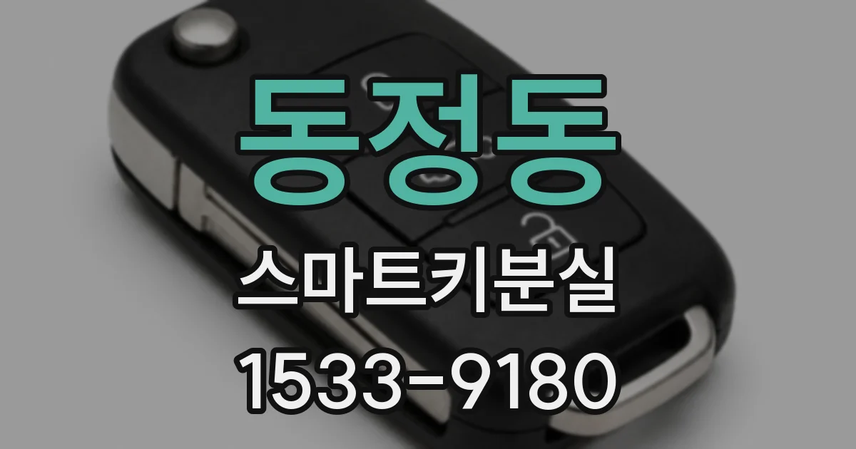 동정동 스마트키분실