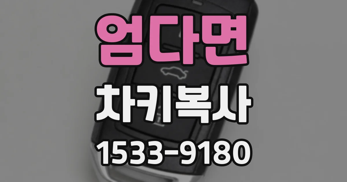 엄다면 차키복사
