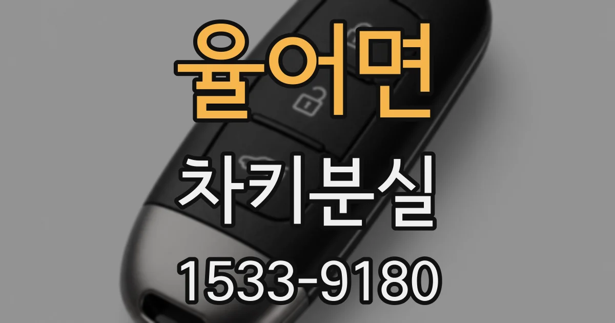 율어면 차키분실