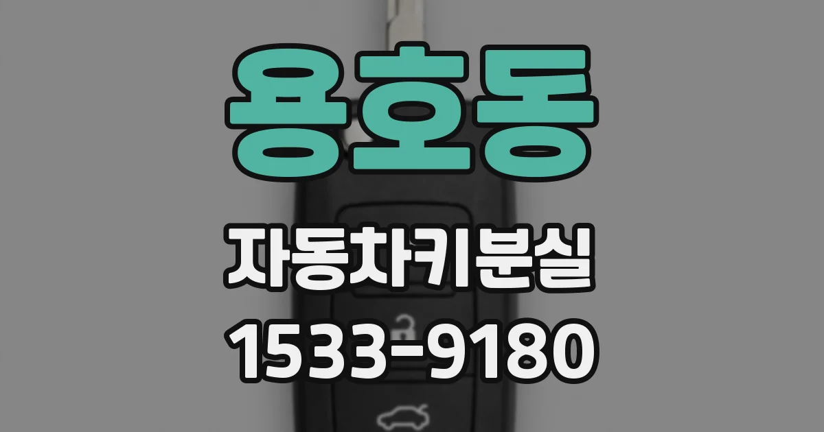 용호동 자동차키분실