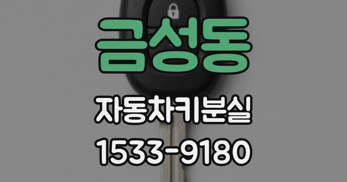 금성동 자동차키분실