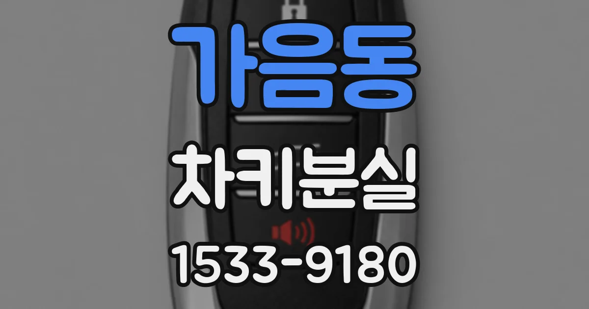 가음동 차키분실