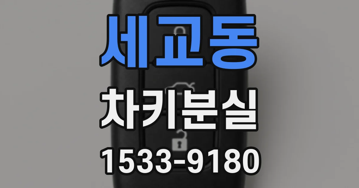 세교동 차키분실