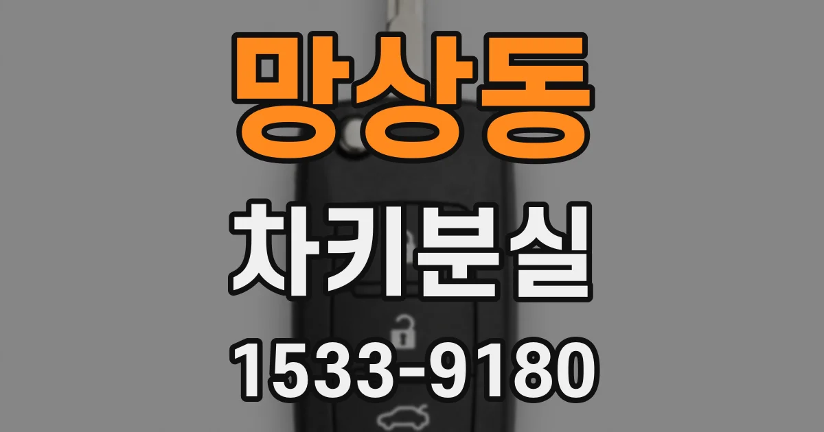 망상동 차키분실